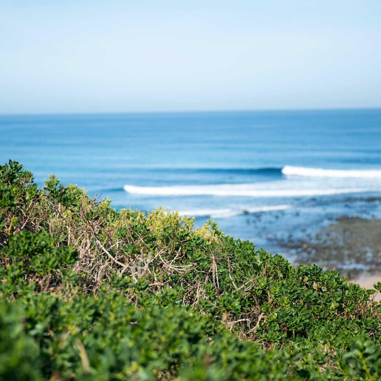 Surf Beach - Heals the Soul.