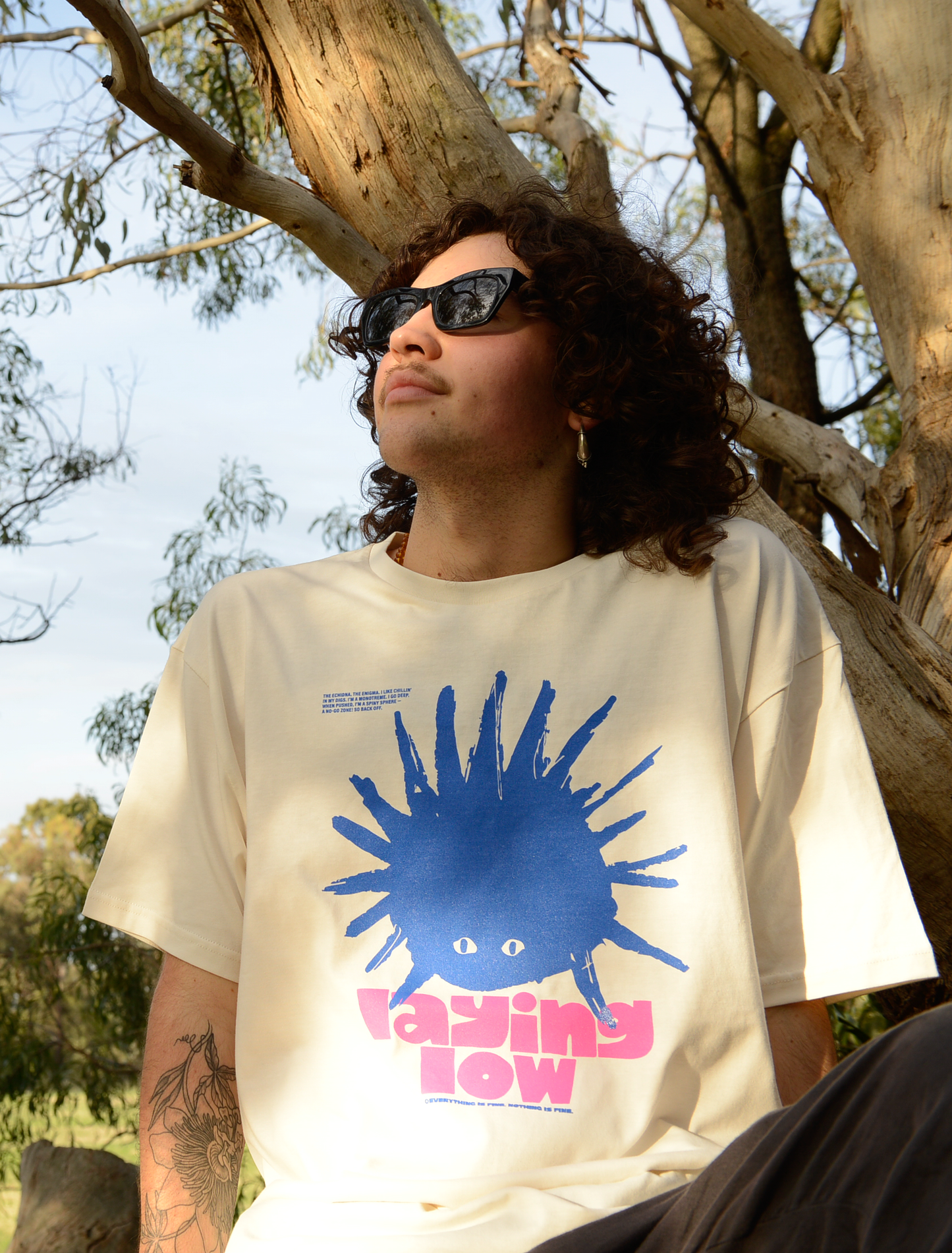 Laying Low Echidna