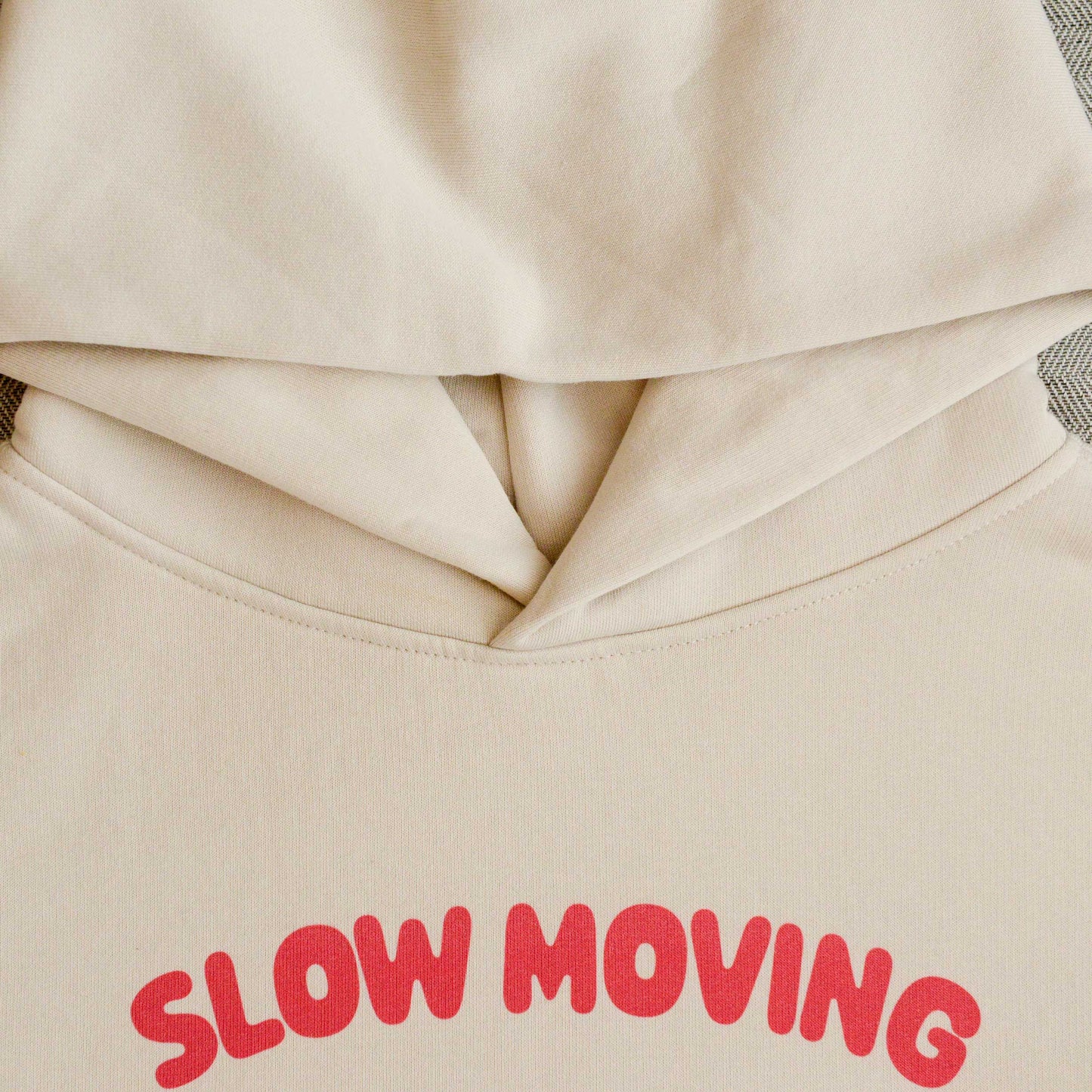 Slow Moving Wombat