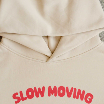 Slow Moving Wombat