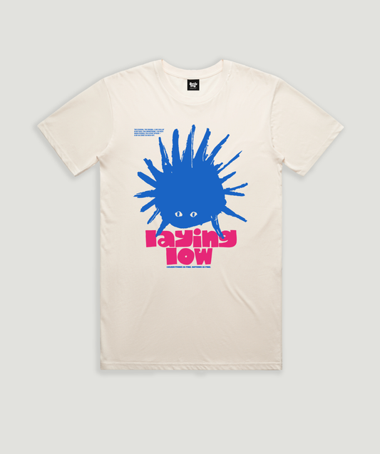 Laying Low Echidna